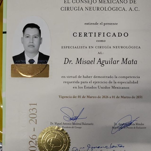 Ampliar imagen: certificate 1