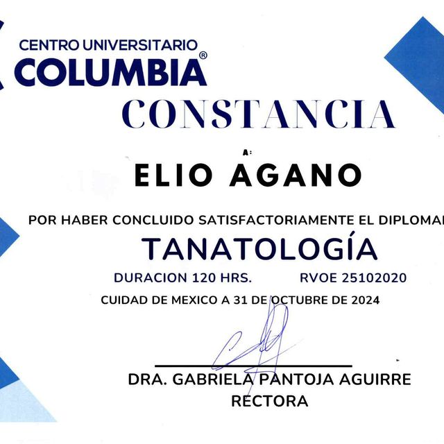 Ampliar imagen: certificate 2