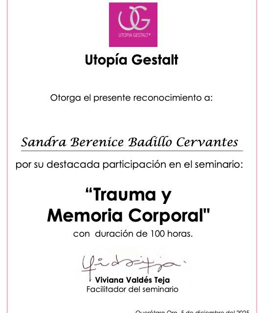 Ampliar imagen: certificate 4