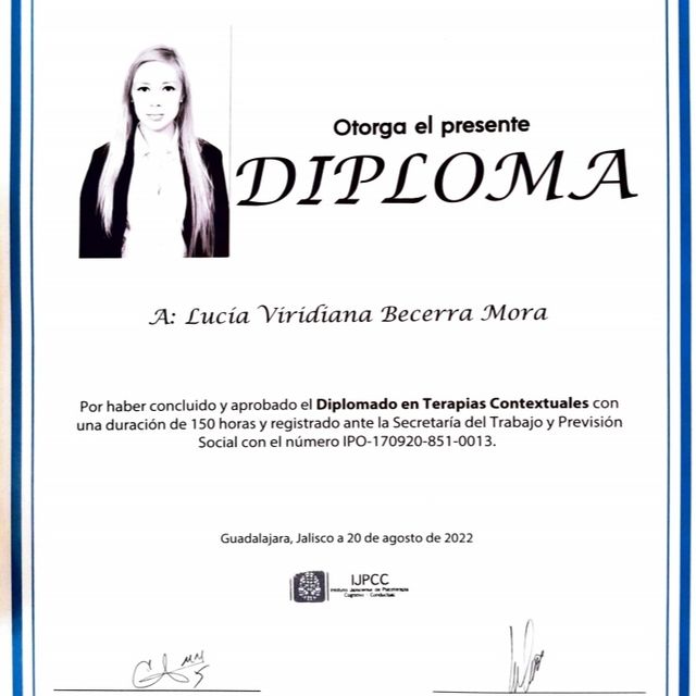 Ampliar imagen: certificate 3