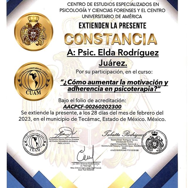 Ampliar imagen: certificate 17