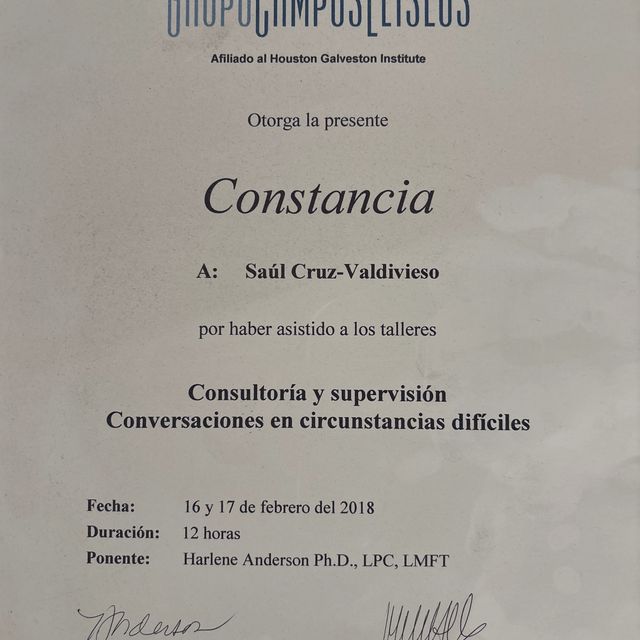 Ampliar imagen: certificate 14