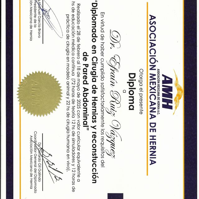 Ampliar imagen: certificate 5