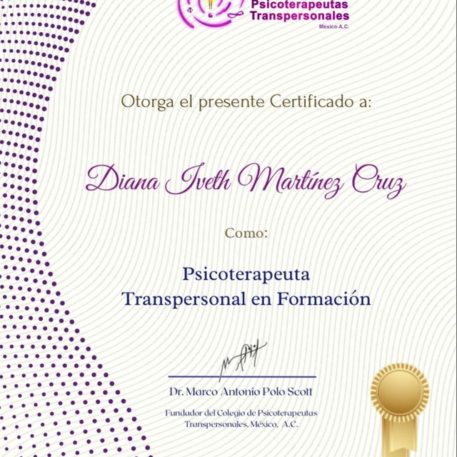 Ampliar imagen: certificate 1