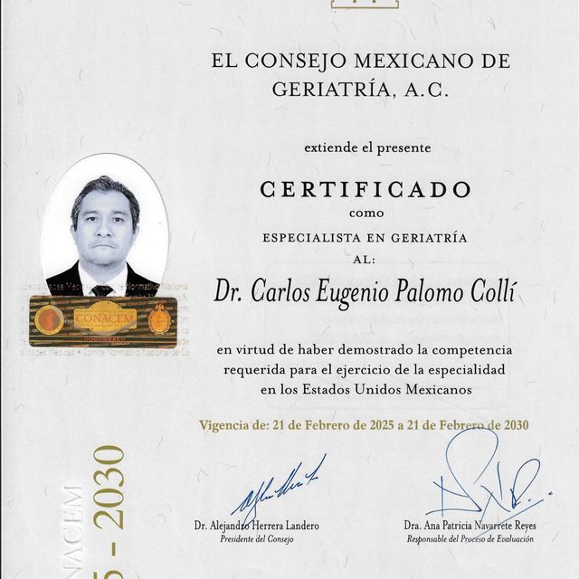 Ampliar imagen: certificate 1