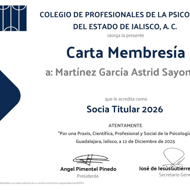 Ampliar imagen: certificate 2