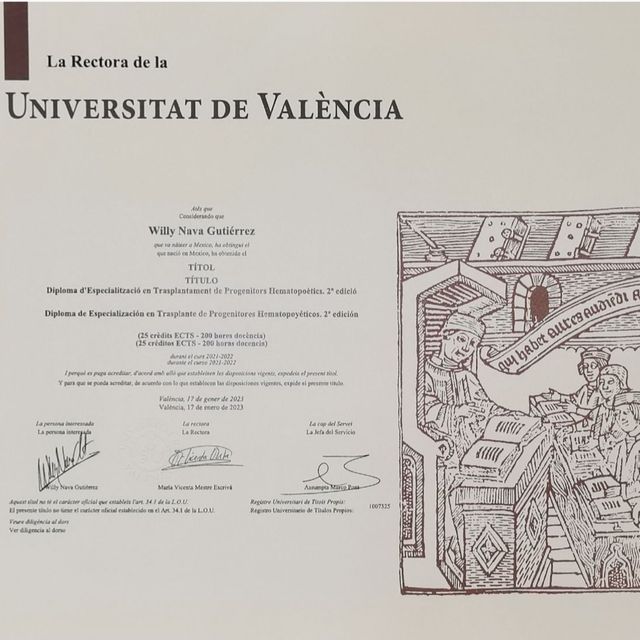 Ampliar imagen: certificate 1