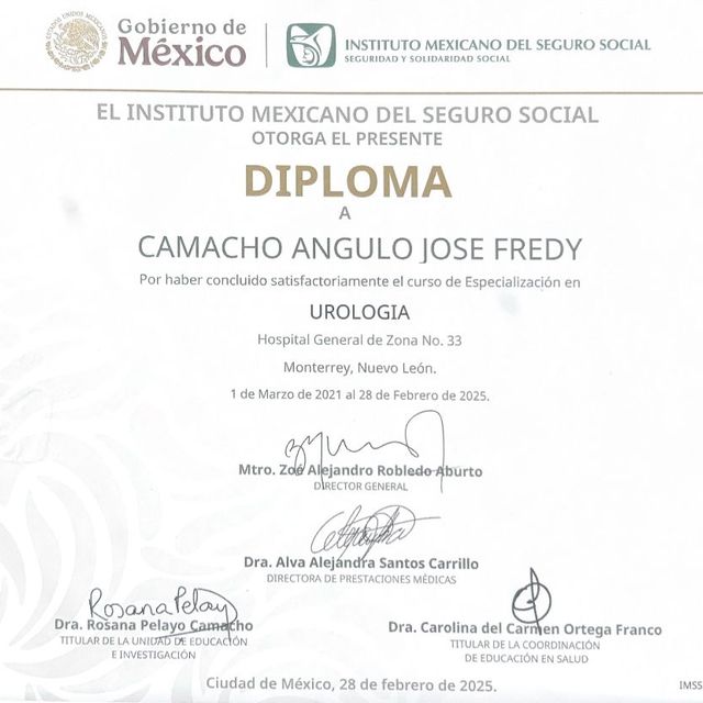 Ampliar imagen: certificate 1