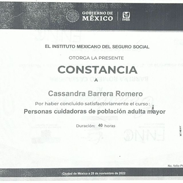 Ampliar imagen: certificate 1