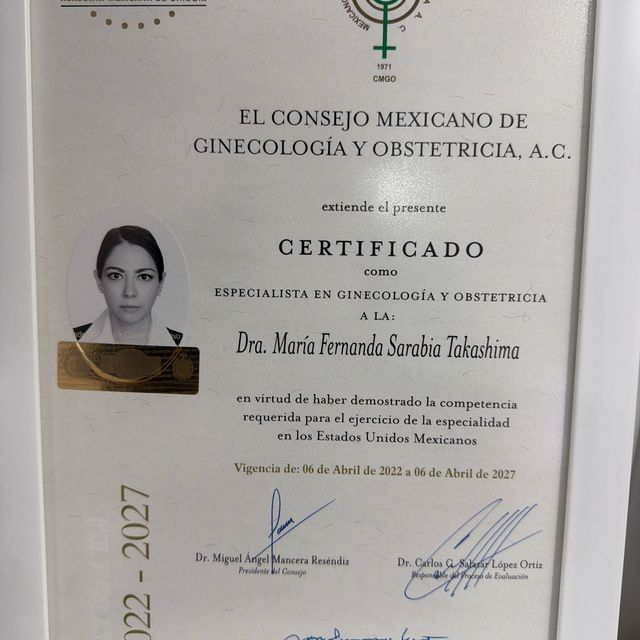 Ampliar imagen: certificate 2
