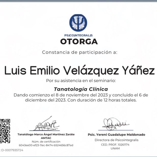 Ampliar imagen: certificate 4