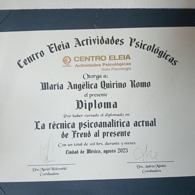 Ampliar imagen: certificate 7