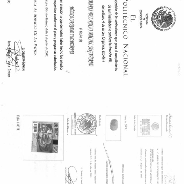 Ampliar imagen: certificate 1