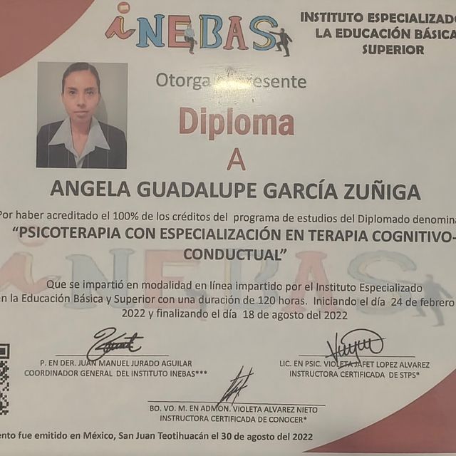 Ampliar imagen: certificate 4