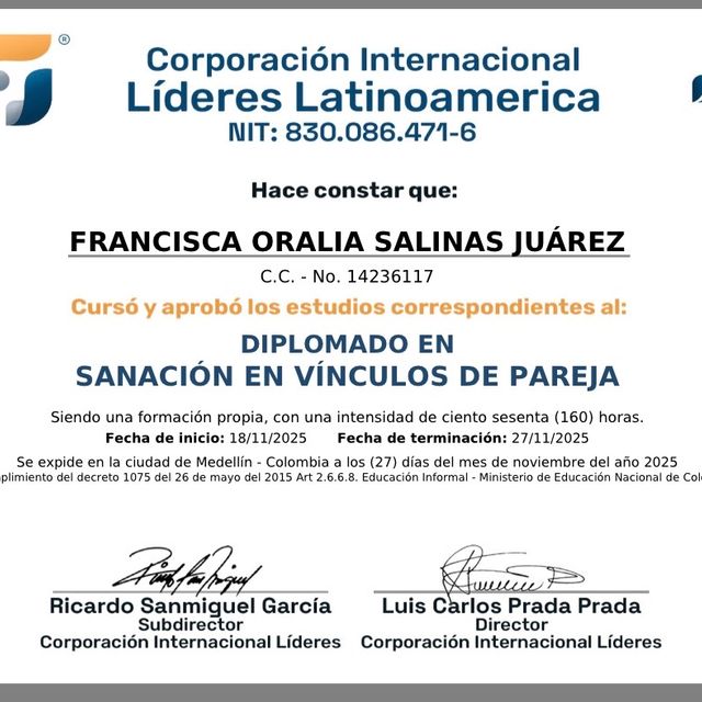 Ampliar imagen: certificate 17