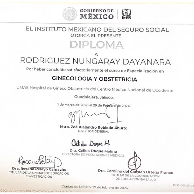 Ampliar imagen: certificate 3