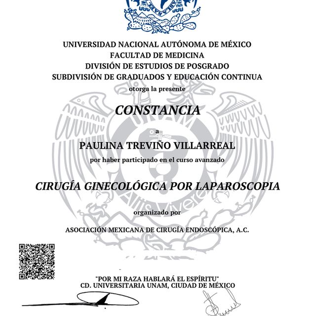 Ampliar imagen: certificate 3
