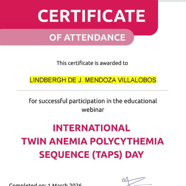 Ampliar imagen: certificate 2