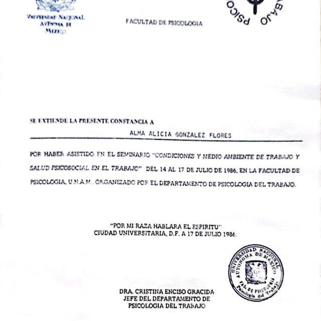 Ampliar imagen: certificate 7