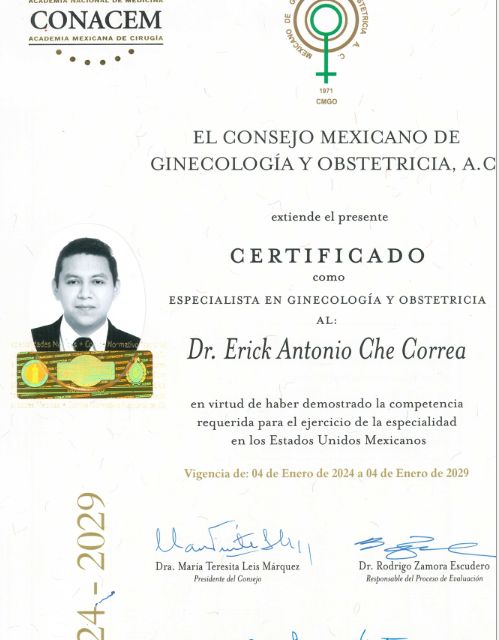 Ampliar imagen: certificate 3