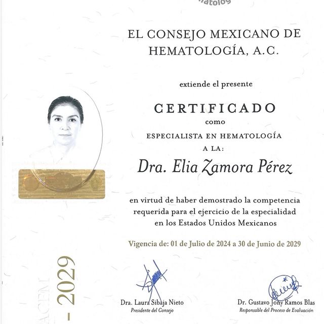 Ampliar imagen: certificate 4