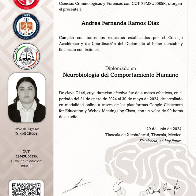 Ampliar imagen: certificate 1