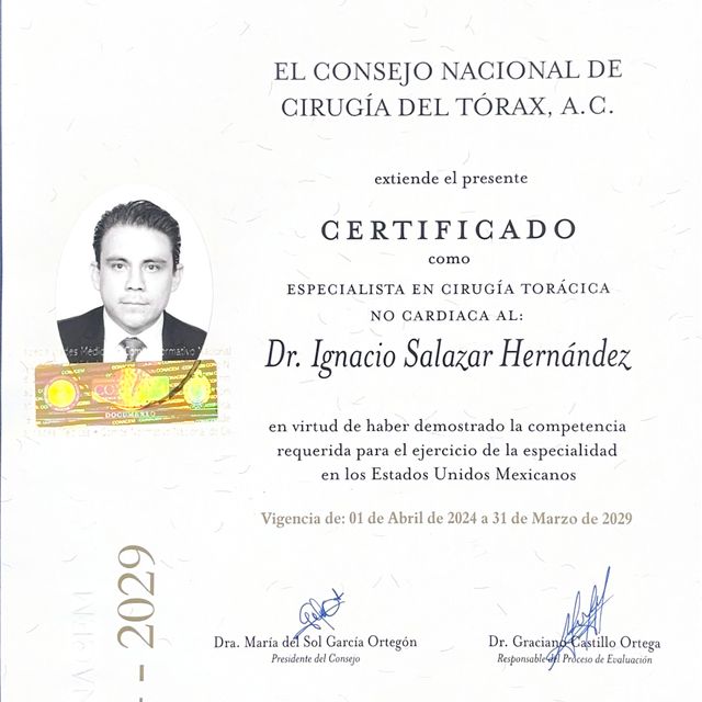 Ampliar imagen: certificate 3