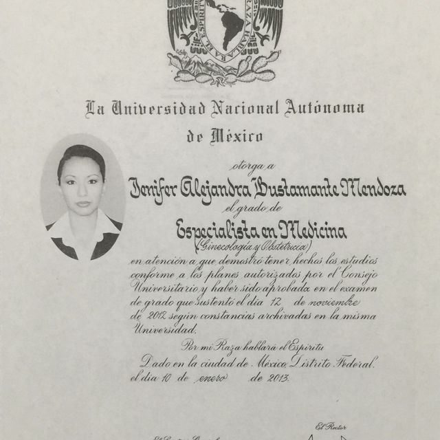Ampliar imagen: certificate 2