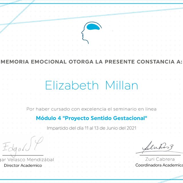 Ampliar imagen: certificate 3