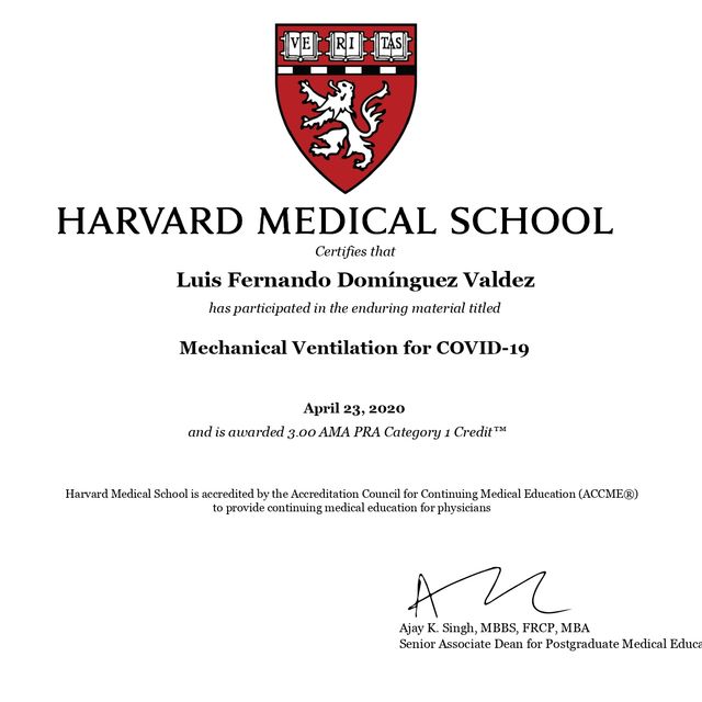 Ampliar imagen: certificate 3