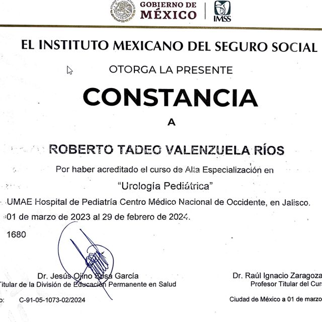 Ampliar imagen: certificate 1