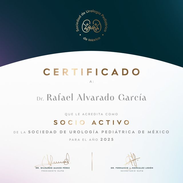 Ampliar imagen: certificate 7