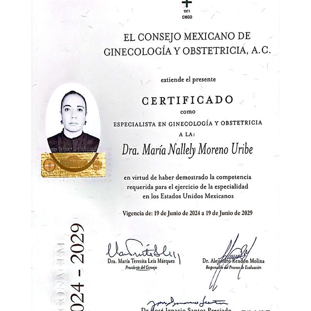 Ampliar imagen: certificate 5