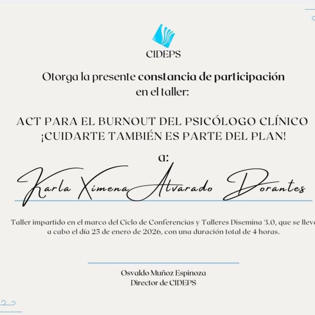 Ampliar imagen: certificate 4