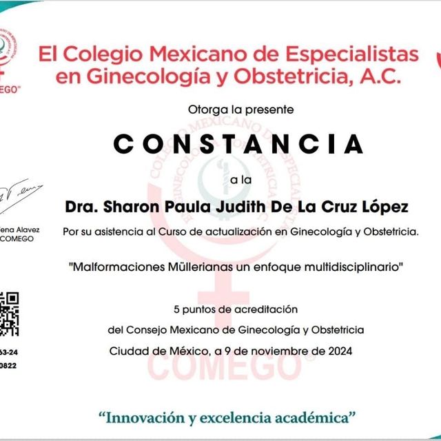 Ampliar imagen: certificate 17
