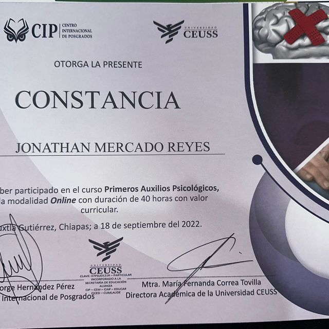 Ampliar imagen: certificate 1