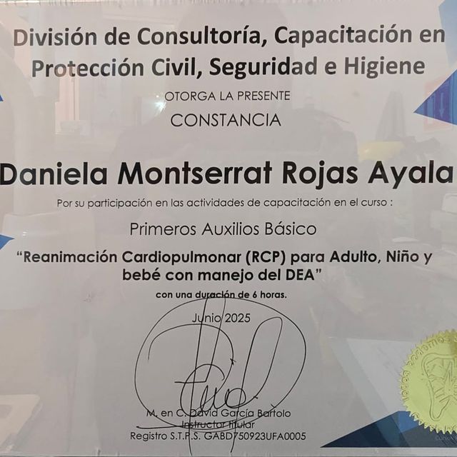 Ampliar imagen: certificate 14