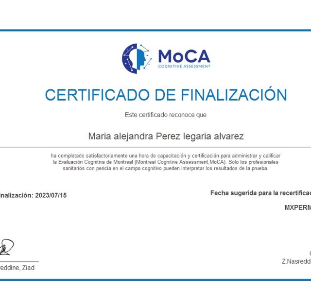 Ampliar imagen: certificate 7
