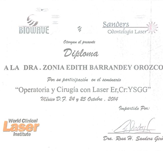 Ampliar imagen: certificate 5