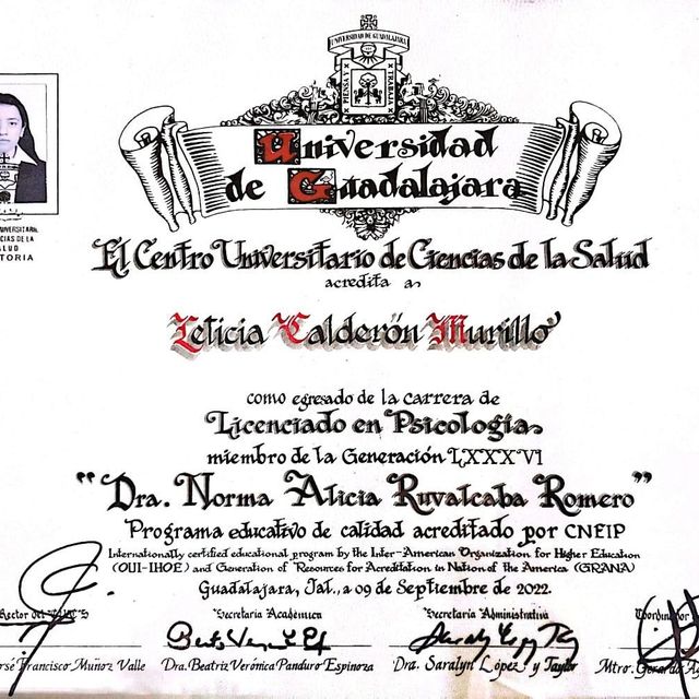 Ampliar imagen: certificate 4