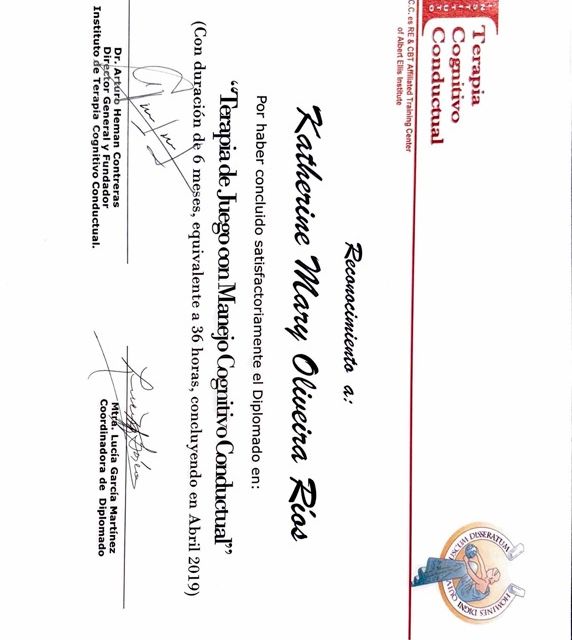Ampliar imagen: certificate 5