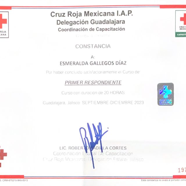 Ampliar imagen: certificate 11