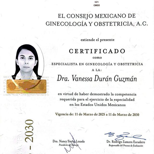 Ampliar imagen: certificate 3