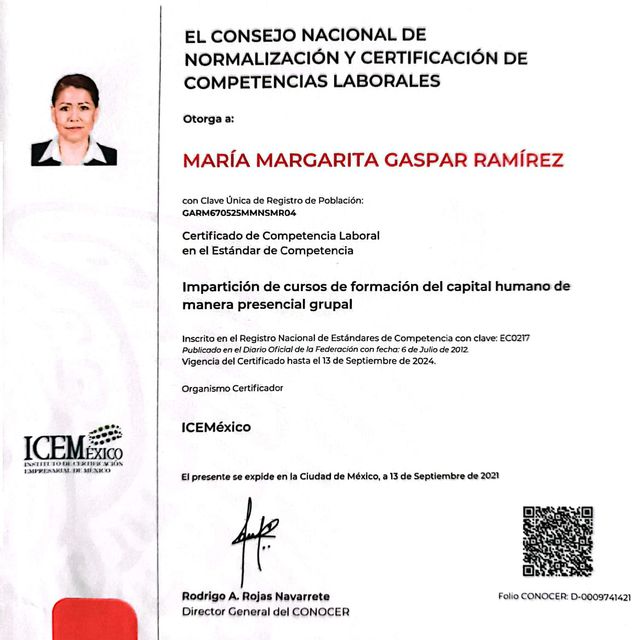 Ampliar imagen: certificate 2