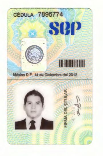 Ampliar imagen: certificate 5
