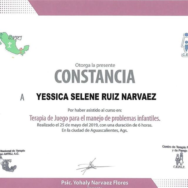 Ampliar imagen: certificate 5