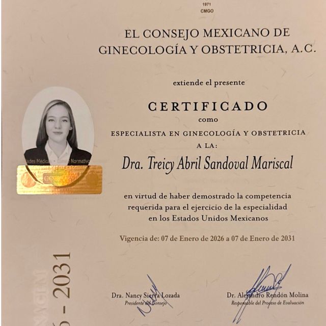 Ampliar imagen: certificate 3