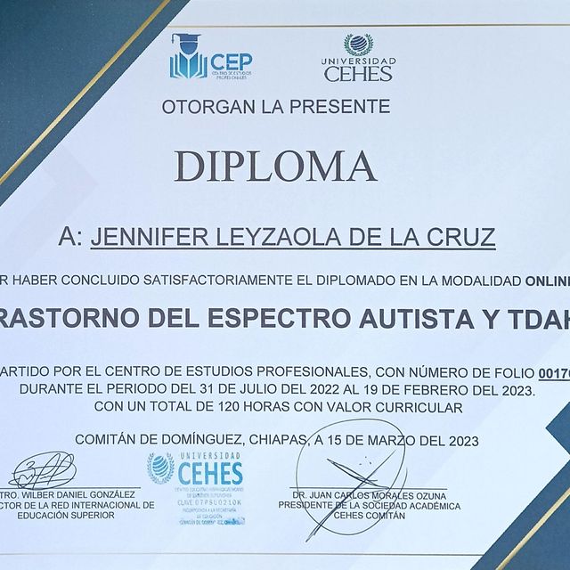 Ampliar imagen: certificate 24
