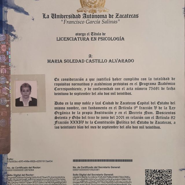 Ampliar imagen: certificate 1