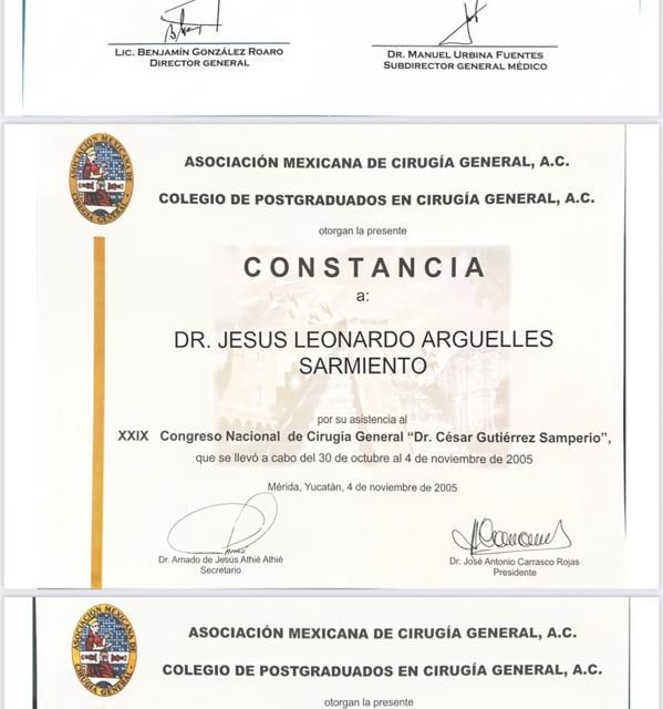 Ampliar imagen: certificate 5